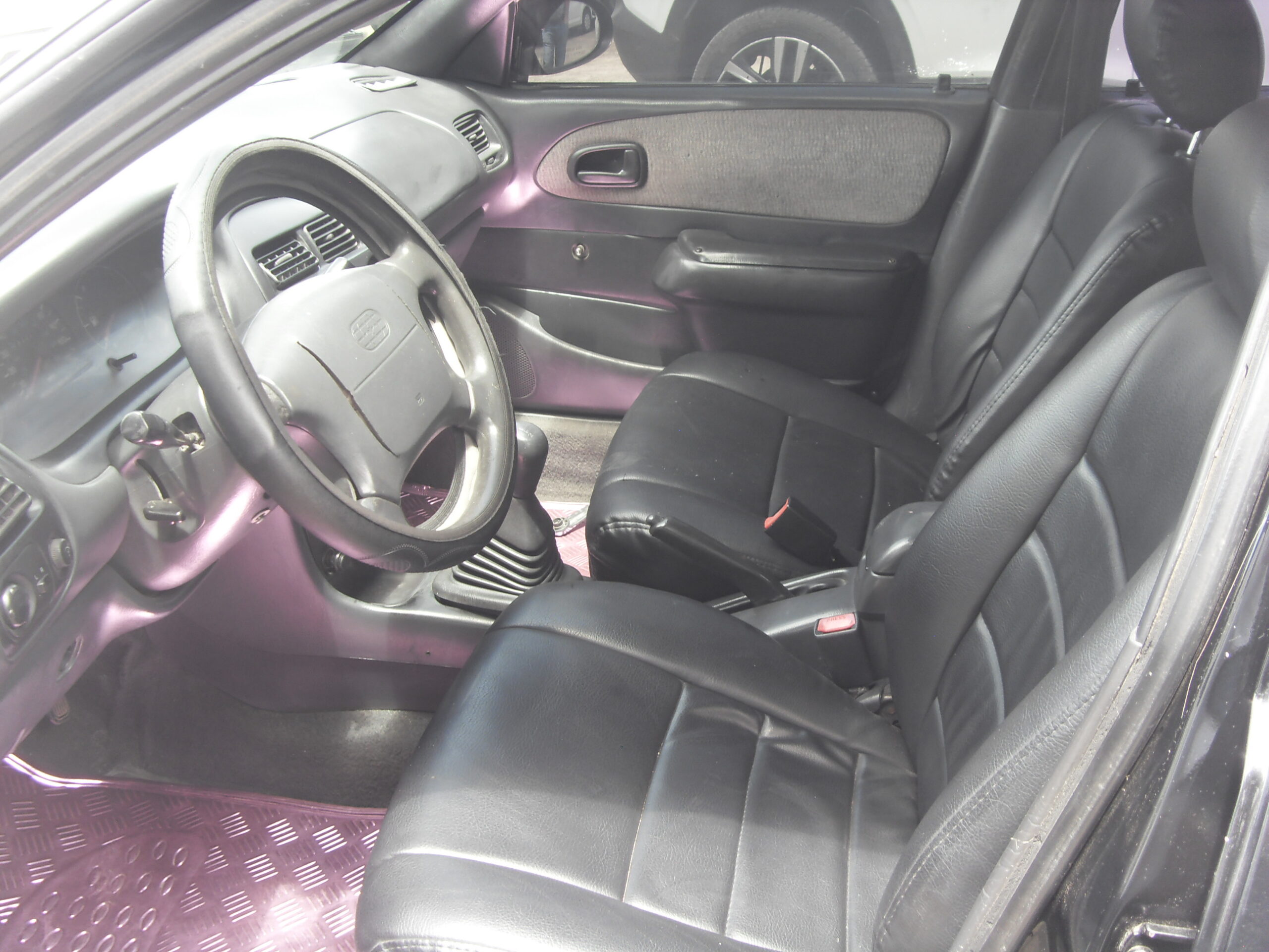 SDC15215-f2efe421