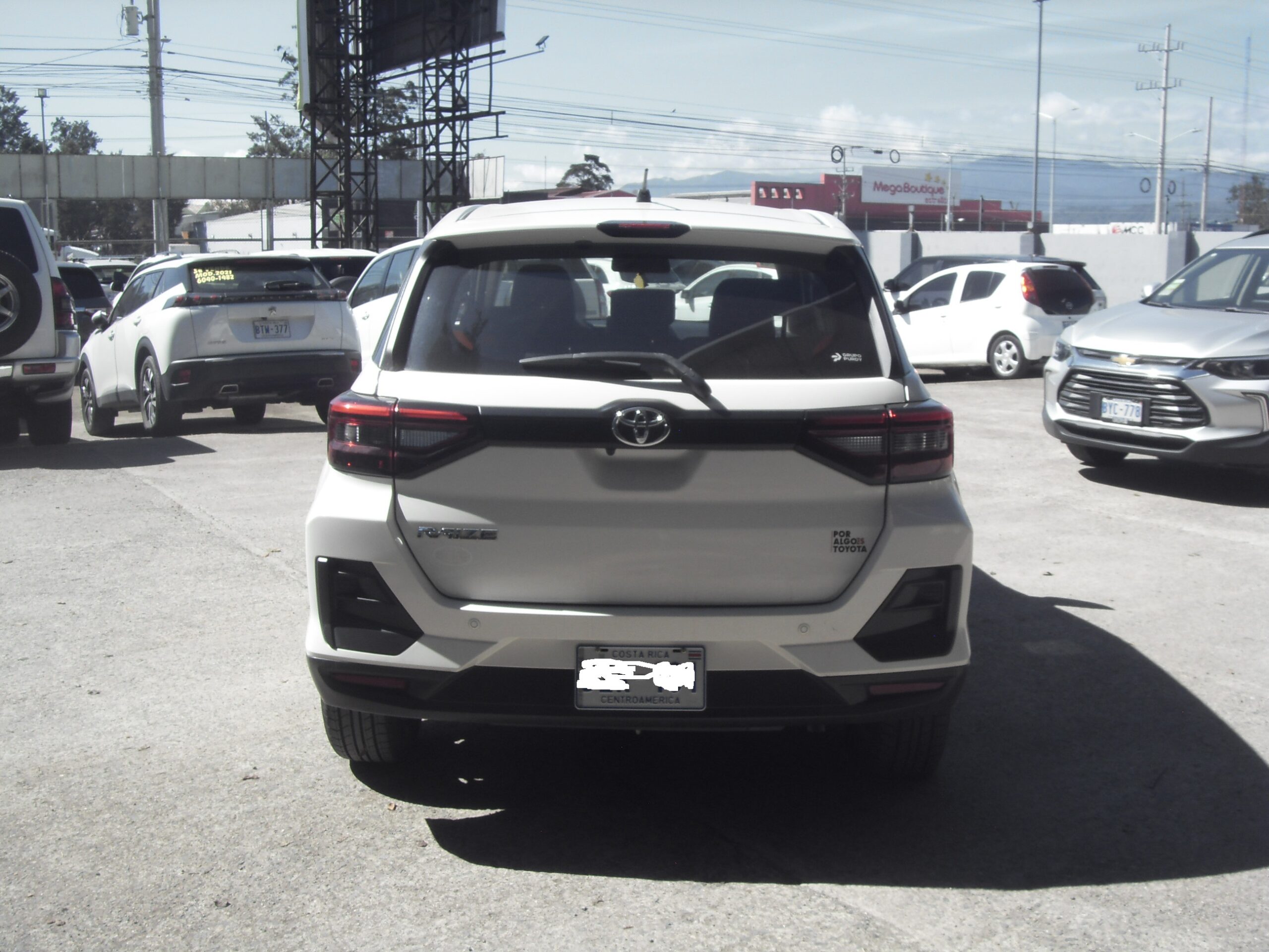 SDC16272-31cc2fbb